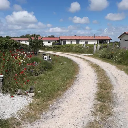 Apartamento Chalet Barends De Koog (Texel)
